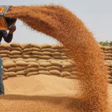 Untitled design (25) India lifts 4-year wheat export ban to boost farmers’ earnings